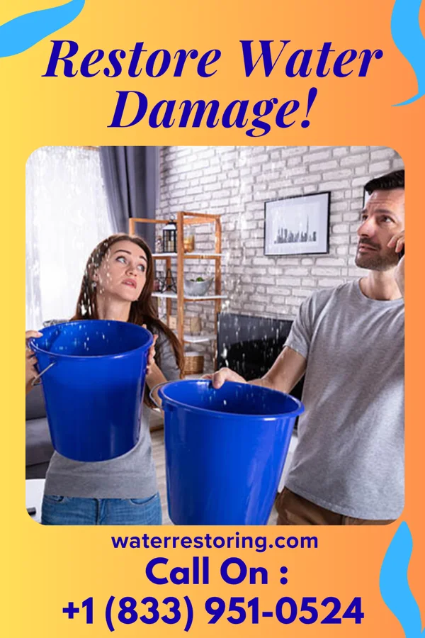 water restoration Classic Water Damage Services Olmito